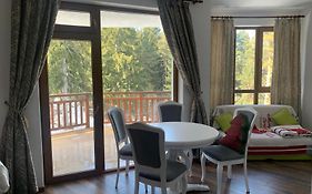 Premium Studio In Borovets